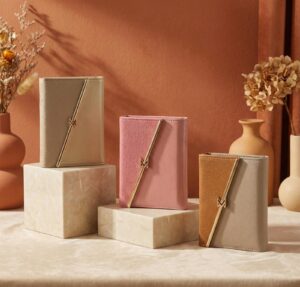 מגנט אוירה 2